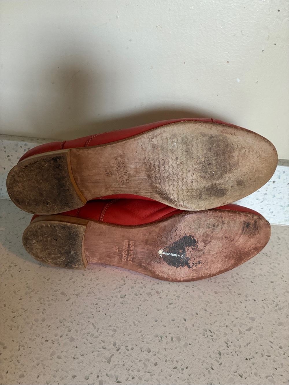 Studio pollini - Picture 5 of 8